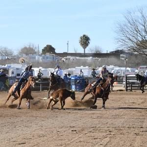 Meet your Posher, Shaunti
